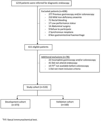 Development and validation of a faecal immunochemical test-based model in the work-up of patients with iron deficiency anaemia